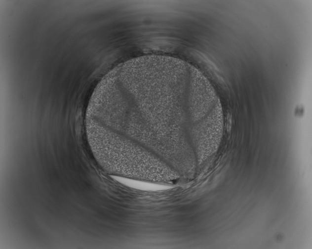X0000102340915200808291134