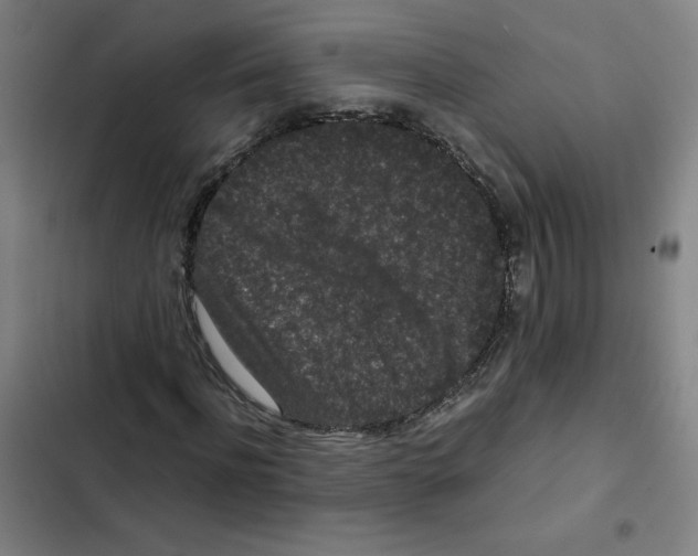 X0000102340916200808291134