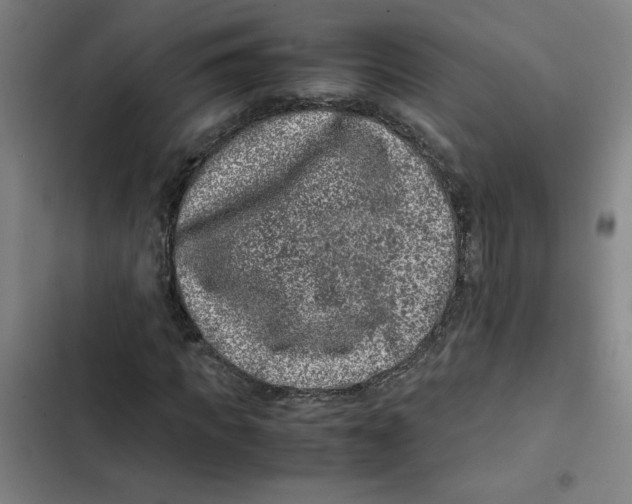 X0000102340917200808291134