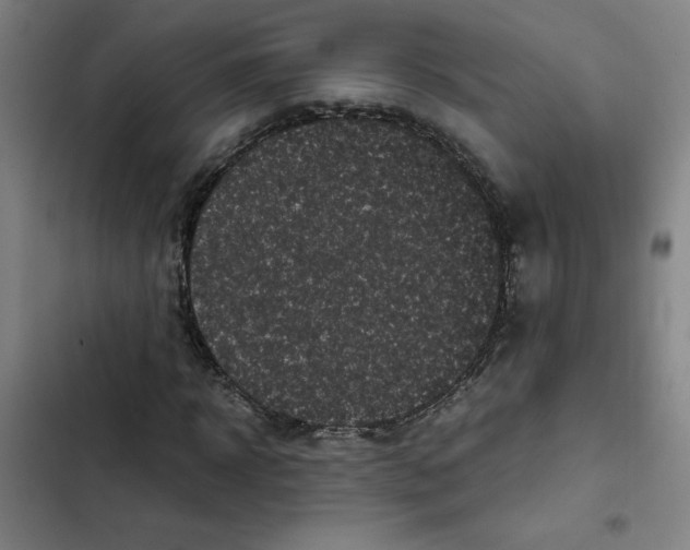 X0000102340918200808291134