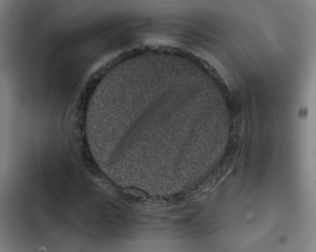 X0000102340919200808291134