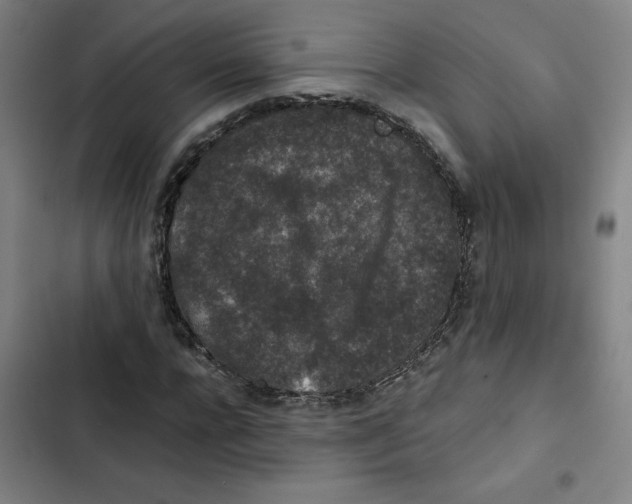 X0000102340920200808291134
