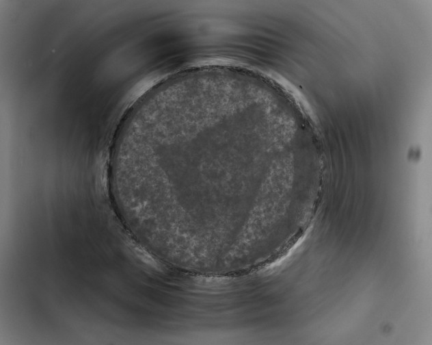 X0000102340921200808291134