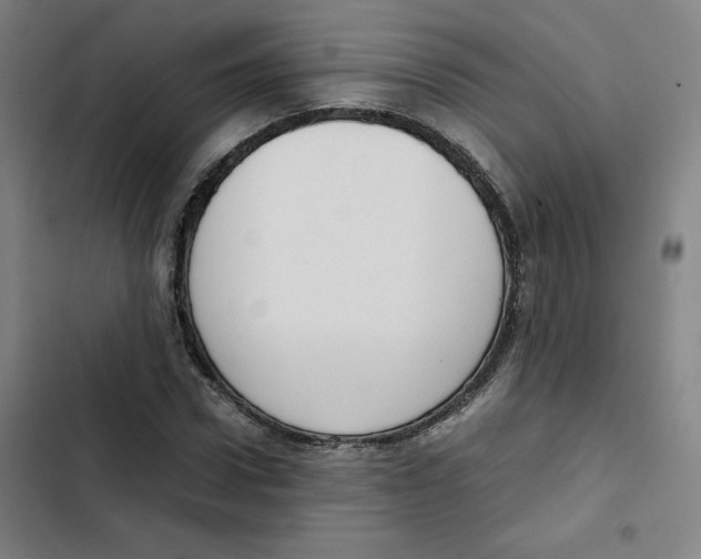 X0000102340922200808291134