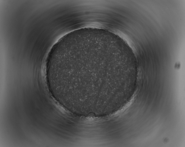 X0000102340923200808291134