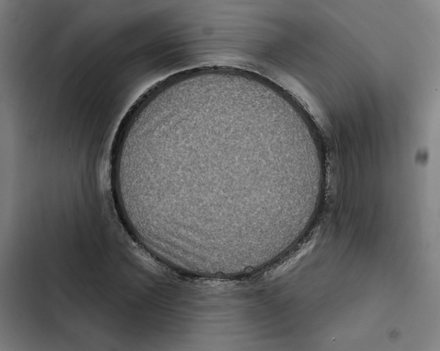 X0000102340924200808291134