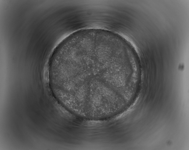 X0000102340925200808291134
