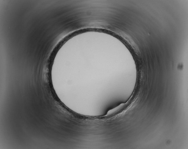 X0000102340926200808291134