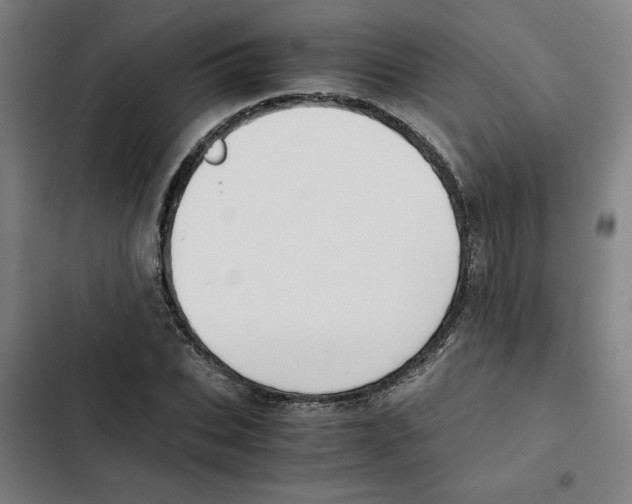 X0000102340927200808291134