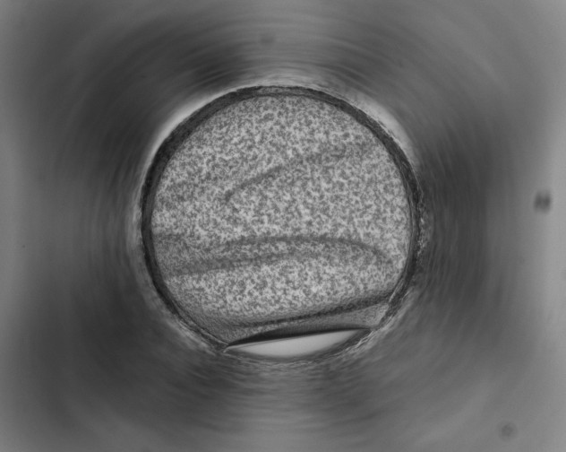 X0000102340928200808291134