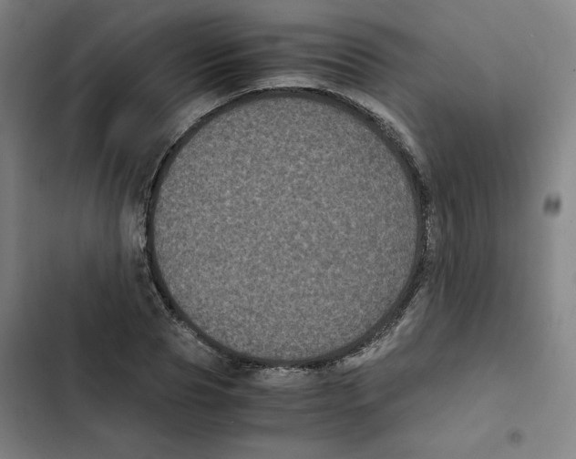 X0000102340929200808291134
