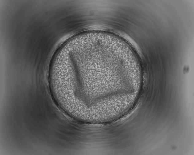 X0000102340930200808291134
