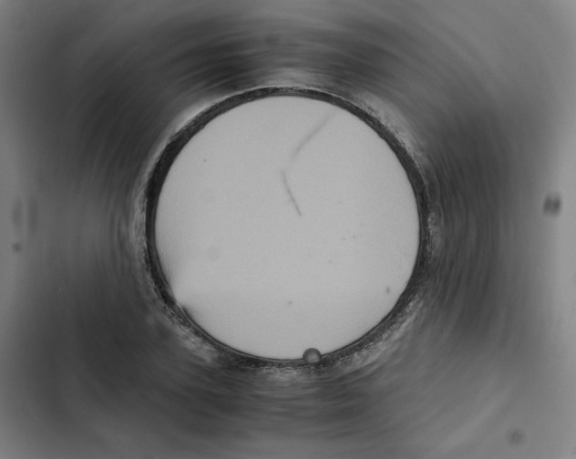 X0000102340931200808291134