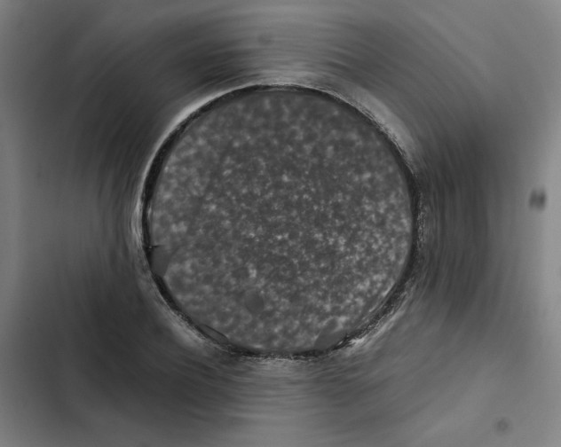 X0000102340932200808291134
