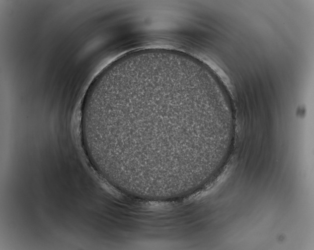 X0000102340933200808291134