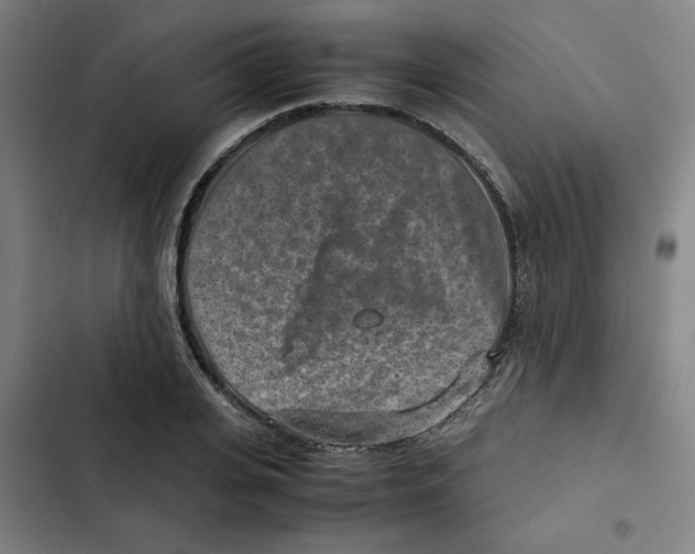 X0000102340935200808291134