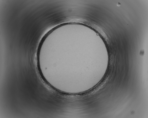 X0000102340936200808291134
