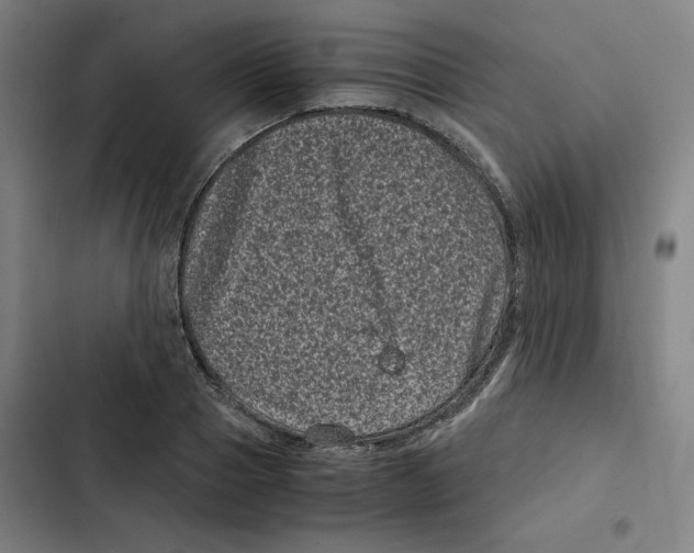 X0000102340937200808291134