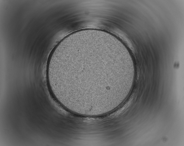X0000102340938200808291134