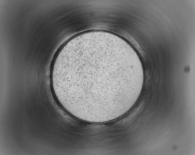 X0000102340939200808291134