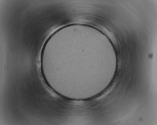 X0000102340940200808291134