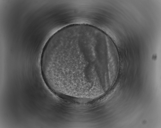 X0000102340943200808291134