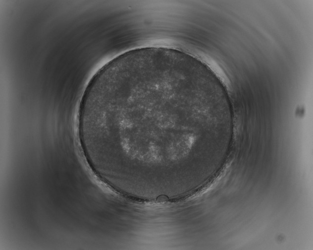 X0000102340944200808291134