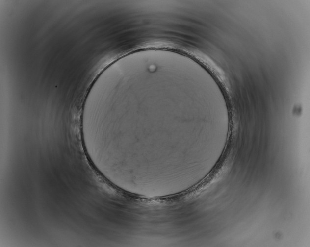 X0000102340945200808291134