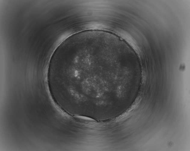 X0000102340946200808291134