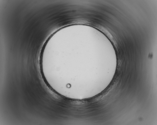 X0000102340947200808291134
