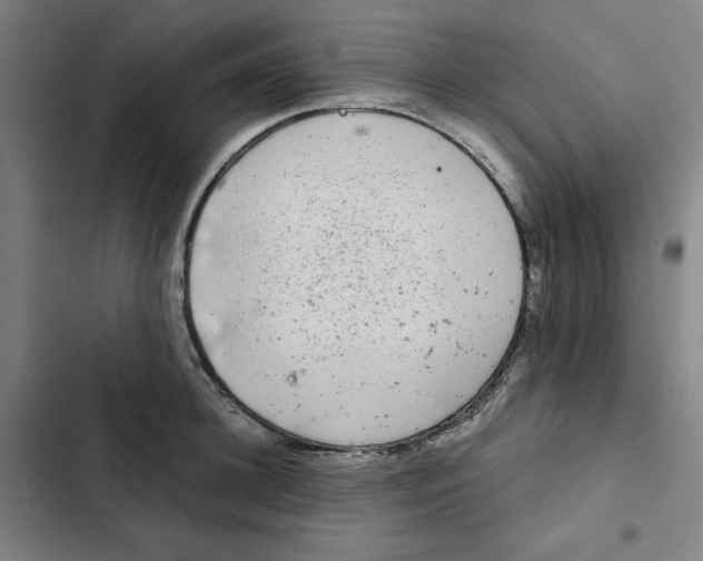 X0000102340948200808291134