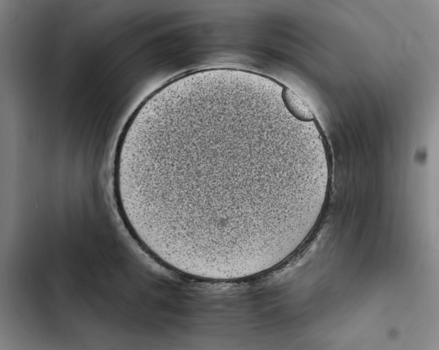 X0000102340949200808291134