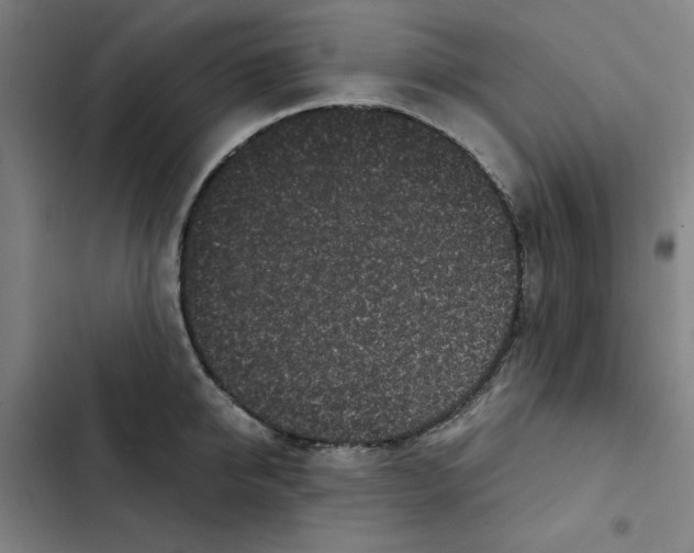 X0000102340950200808291134
