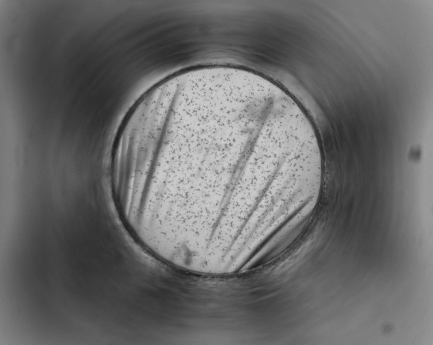 X0000102340951200808291134