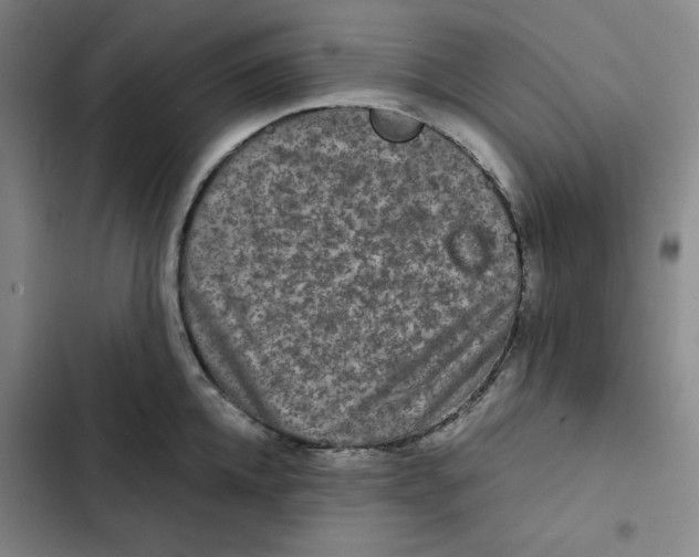 X0000102340952200808291134