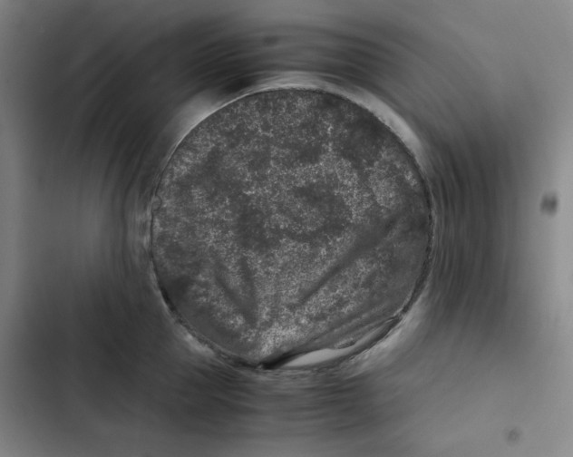 X0000102340953200808291134