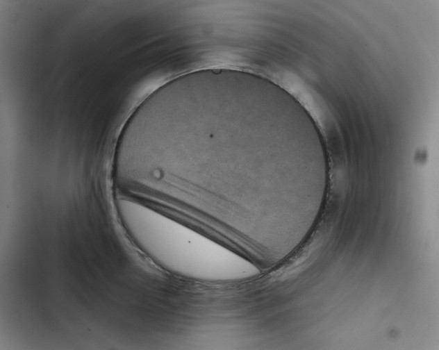 X0000102340954200808291134