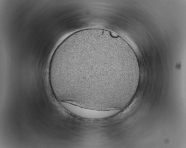 X0000102340956200808291134