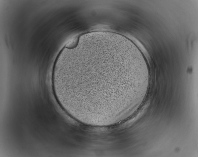 X0000102340957200808291134
