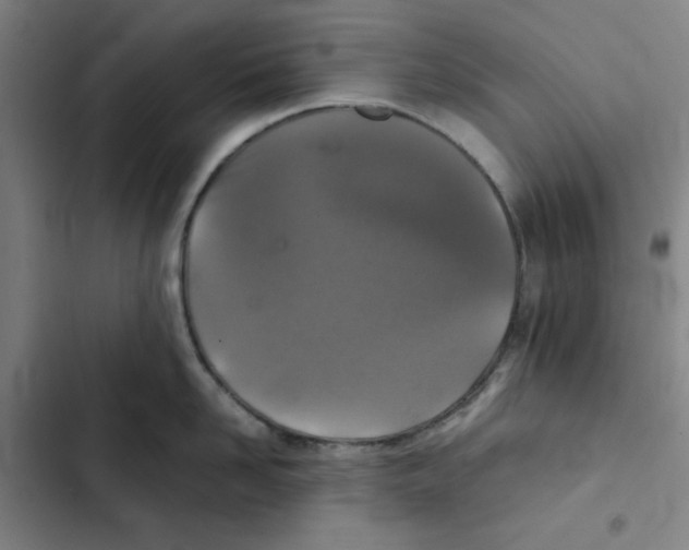 X0000102340958200808291134