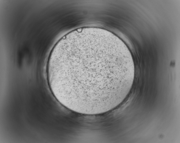 X0000102340959200808291134