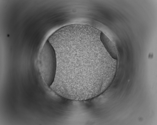 X0000102340960200808291134