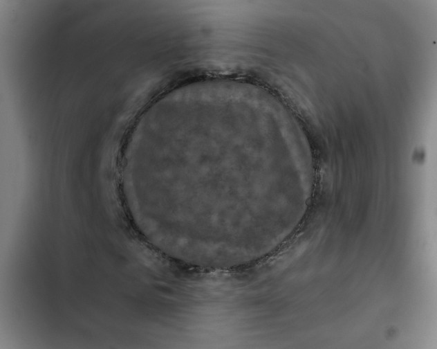 X0000102340961200808291134