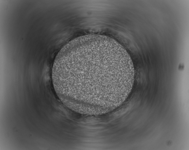 X0000102340962200808291134