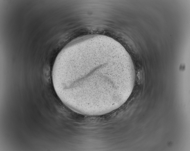 X0000102340963200808291134