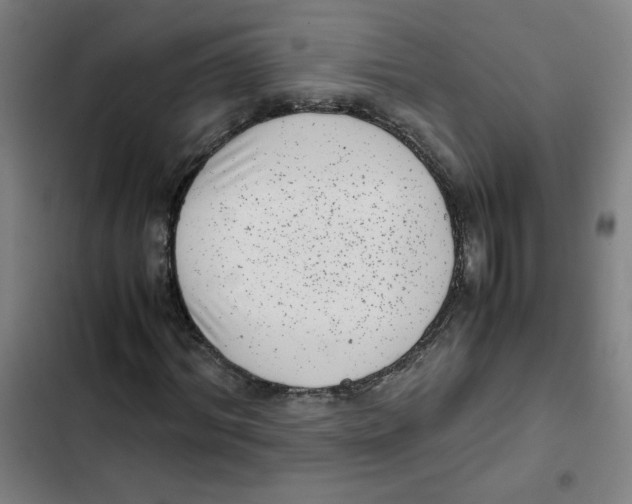 X0000102340964200808291134