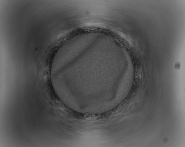 X0000102340965200808291134
