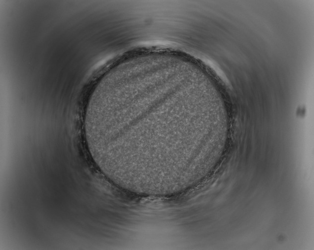 X0000102340967200808291133