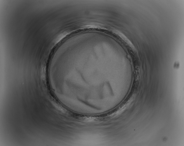 X0000102340969200808291133