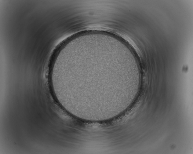 X0000102340971200808291133